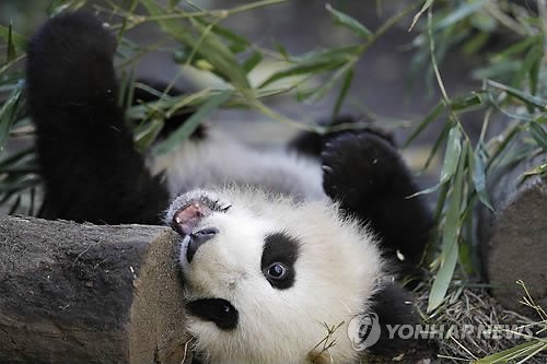 만든곳: 한국 네티즌본부 카페