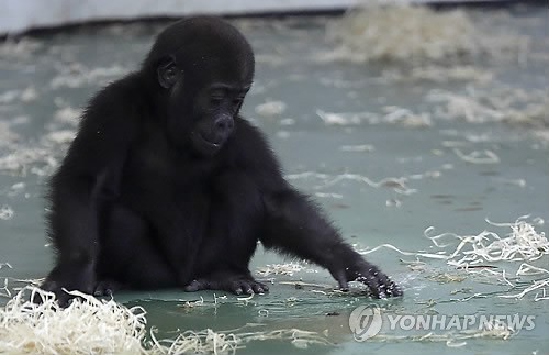 작성: 한국 네티즌본부
