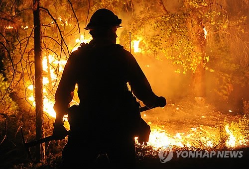 만든곳: 한국 네티즌본부 카페