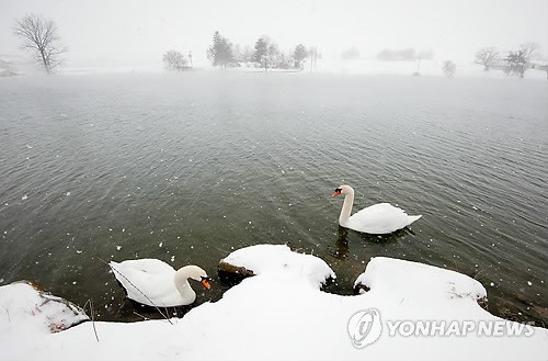 사진이 안보일 때→우측클릭→'사진보기' 클릭, OK. ☞작성: Daum카페: 한국 네티즌본부