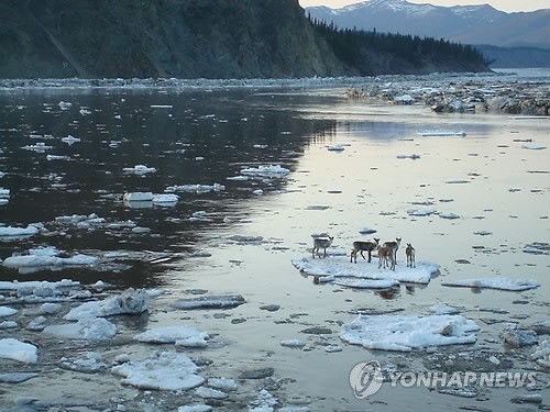 사진이 안보일 때→우측클릭→'사진보기' 클릭, OK. ☞작성: Daum카페: 한국 네티즌본부