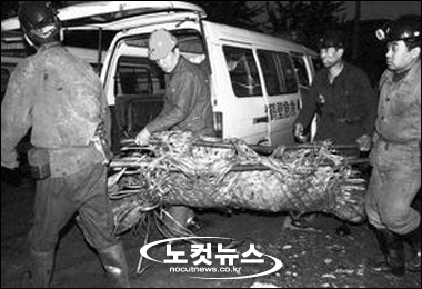 중국 허난성, 탄광폭발로 34명 사망