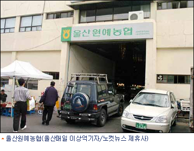 울산원예농협 경매가 담합 의혹