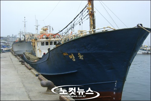 홍게잡이 어선 일본 지도선 추격 받다 무사 귀환