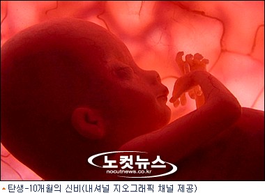 케이블, 풍성한 한가위 프로그램 진수성찬