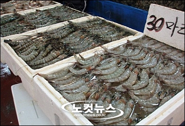 값싼 웰빙수산물 새우 드세요!