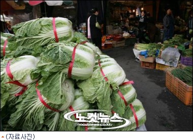 농·상·정 협력, 겨울채소 수급안정 나선다