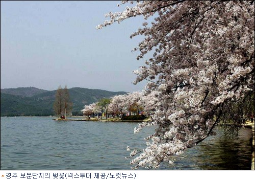 새봄 여행 떠나고 영화도 보자!