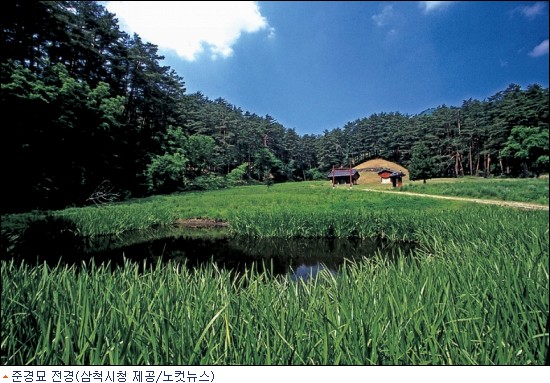 솔향기 솔솔~ 푸른 숲으로 떠나는 여름여행!