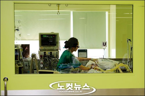 챔프의 사투
