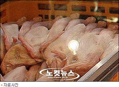 닭과 오리 먹어도 안전합니다