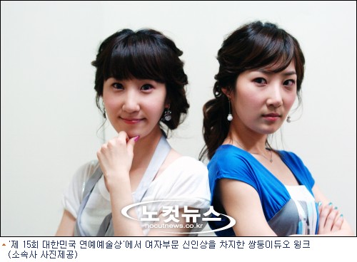 윙크, 대한민국 연예 예술상과 윙크