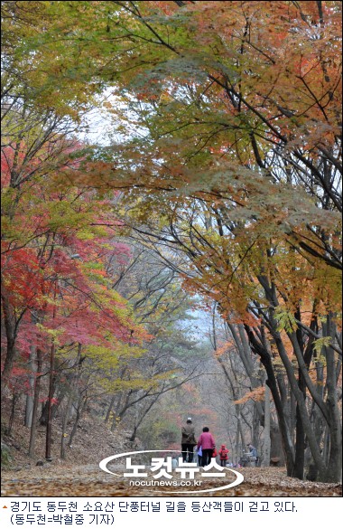 일상처럼… 소요산에 빠지다