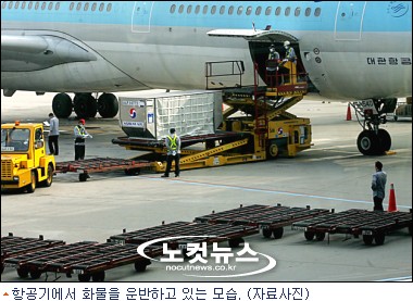 연말 고강도 안전점검…항공사 뿔났다