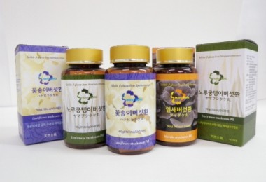 거품 빼고 건강 더한 약용버섯