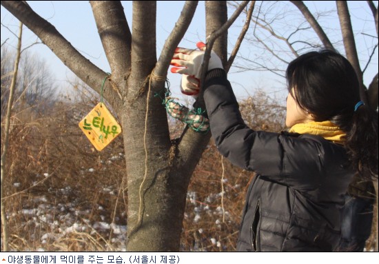 한강공원 일대 야생동물 먹이공급