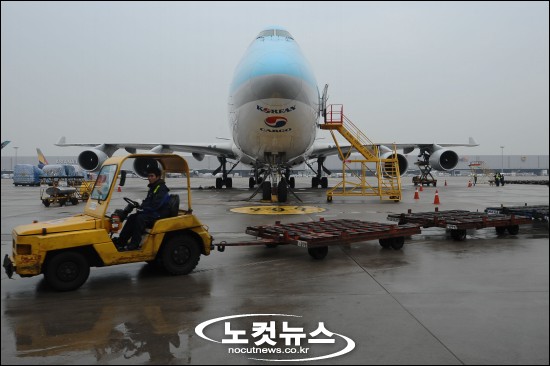 화물은 날고싶다