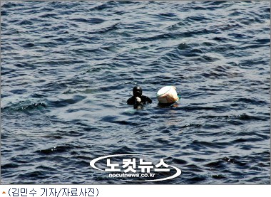 해운대 해녀들의 눈물, 다이버가 사람잡네
