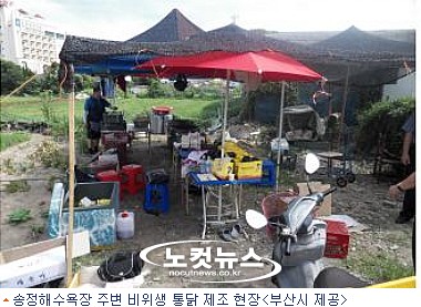 부산 해수욕장·야구장 짝퉁 통닭 버젓이 유통