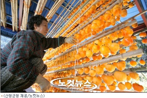 풍성한 가을, 곶감 직접 깎아서 가져가세요
