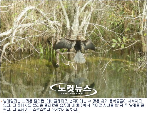 광활한 늪, 흐르는 늪, 영원한 늪 에버글레이즈