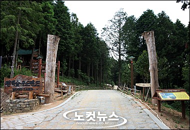 장흥 우드랜드 발길이 바쁘다