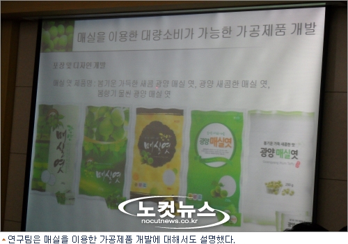 광양 매실, 간암세포 억제 효과 입증