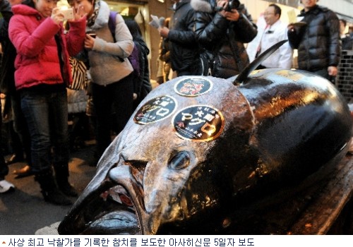 허걱! 참치 한 마리가 8억5천만원 日 사상 최고가 기록