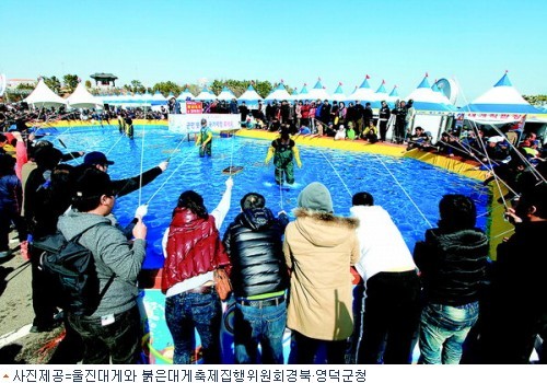 봄향기 머금은 동해… 황금대게가 부른다