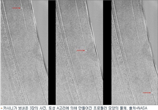 만든곳: 한국 네티즌본부 카페