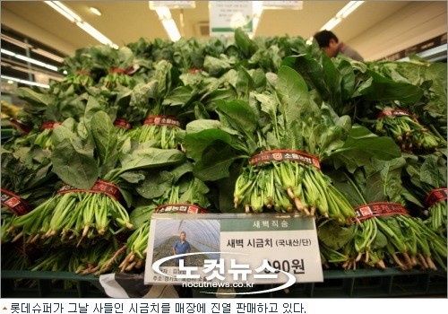 진화하는 유통, 롯데 근교산지형 슈퍼마켓 도입