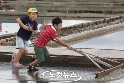 대부도, 염전 체험관광 프로그램 인기