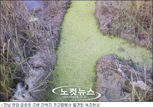 전남 영암·금호호 제2의 시화호 되나…기형 물고기도 잡혀