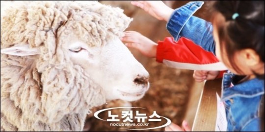[두 남자의 데이트 코스] 저 푸른 초원 위에, 그림 같은 집을 짓고!