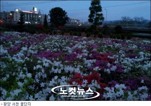 광양 서천, 순천만 정원 박람회 부럽잖아