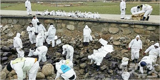 경남농협, 기름유출 남해서 긴급 일손돕기