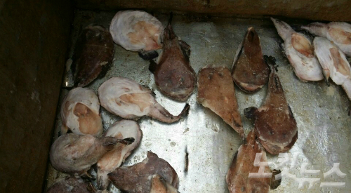유통기간 10년 넘긴 수산물 보관한 수산물 업체 무더기 적발