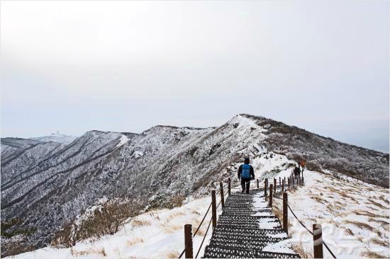 소백산 눈꽃 등반