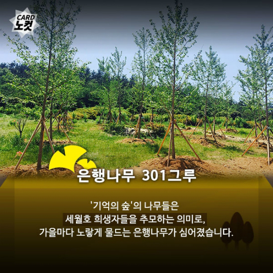 잊지 마세요 세월호 기억의 숲