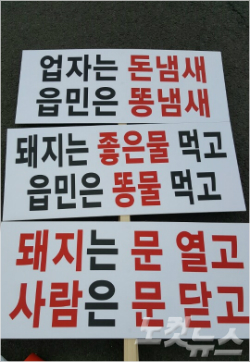돼지는 좋은물, 사람은 똥물 먹어 제주 주민 폭발