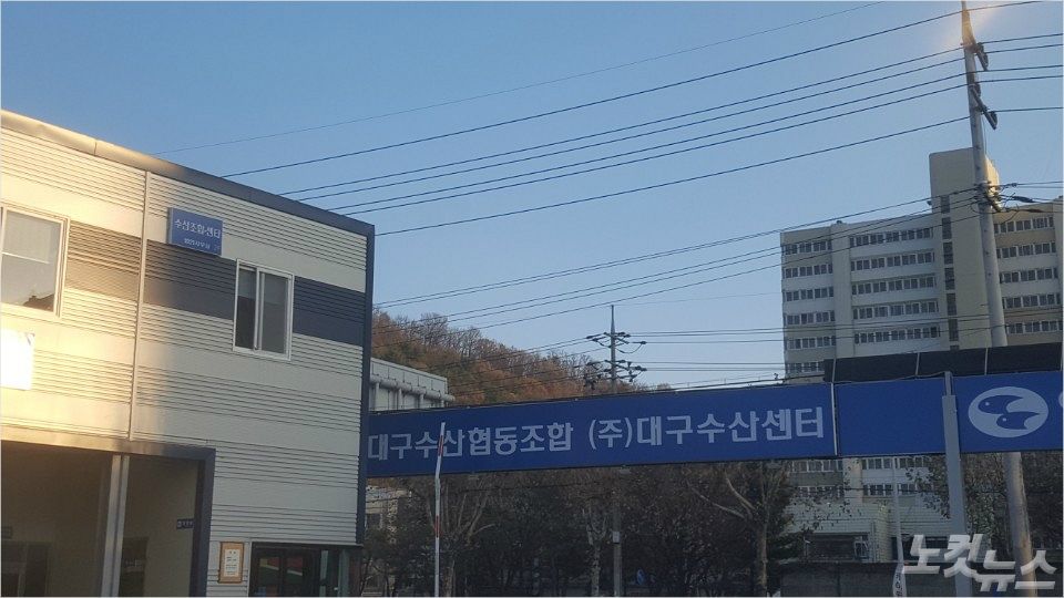 대구수산협동조합 불법 증축 사실로…구청 철거 지시 방침