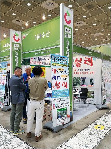 효자가 된 불가사리