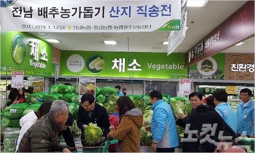 농협 광주농산물종합유통센터, 배추 농가 돕기 산지 직송전 