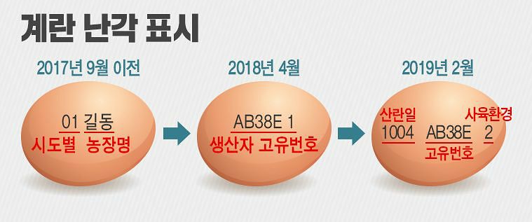 국민 먹거리 계란 믿고 먹는다… 23일 계란유통 빅뱅