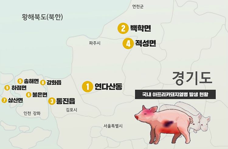 [홍기자의 쏘왓] 돼지열병 확산일로…헉, 삼겹살값 엄청 올랐네요
