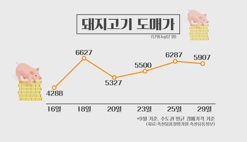 [홍기자의 쏘왓] 돼지열병 확산일로…헉, 삼겹살값 엄청 올랐네요