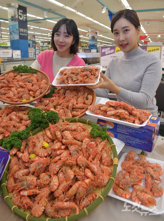 블라디보스톡 가시배새우를 집에서
