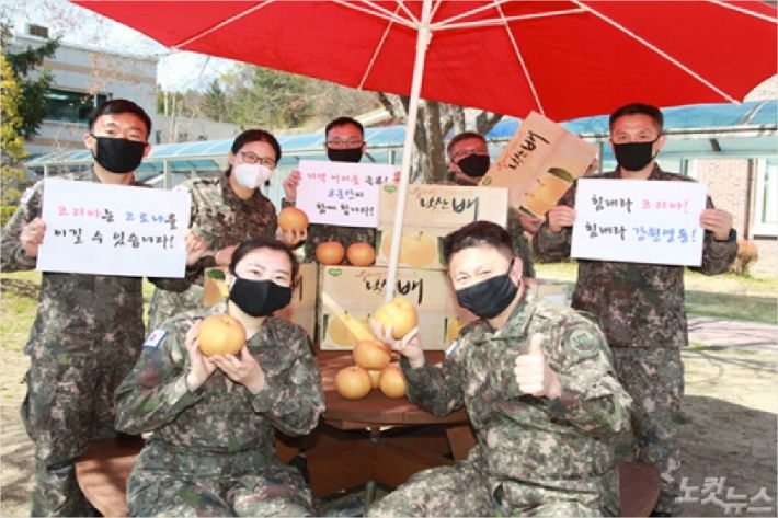 감자 이어 낙산배…8군단 낙산배 팔아주기