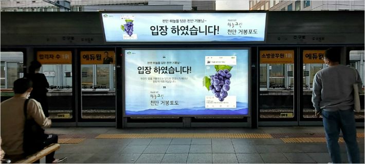 천안시 거봉포도 이색 홍보 문구 눈길…입장 했습니다