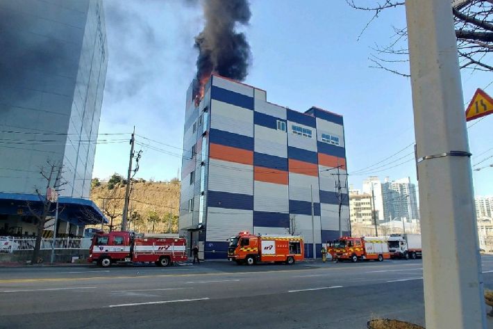 부산 수산가공 공장서 불…10명 대피 소동